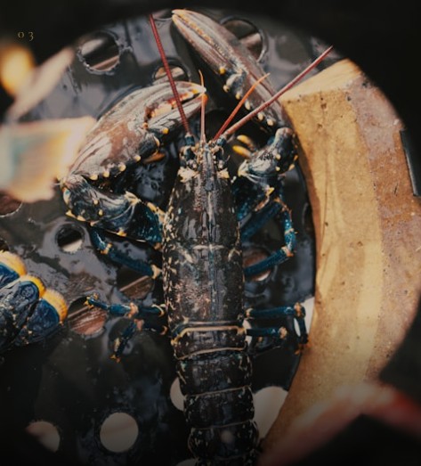 PREMIUM SEAFOOD
